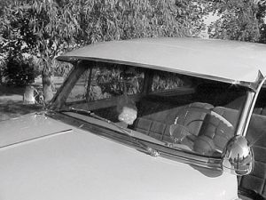 1953-1954 Hardtop/Convertible Windshield